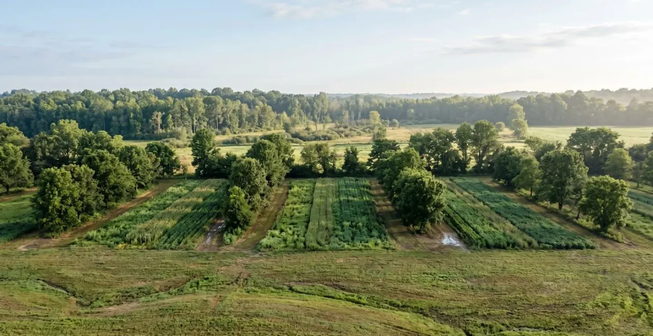 Wide environmental shot comparing forested area with integrated agricultural rows showing water infiltration patterns