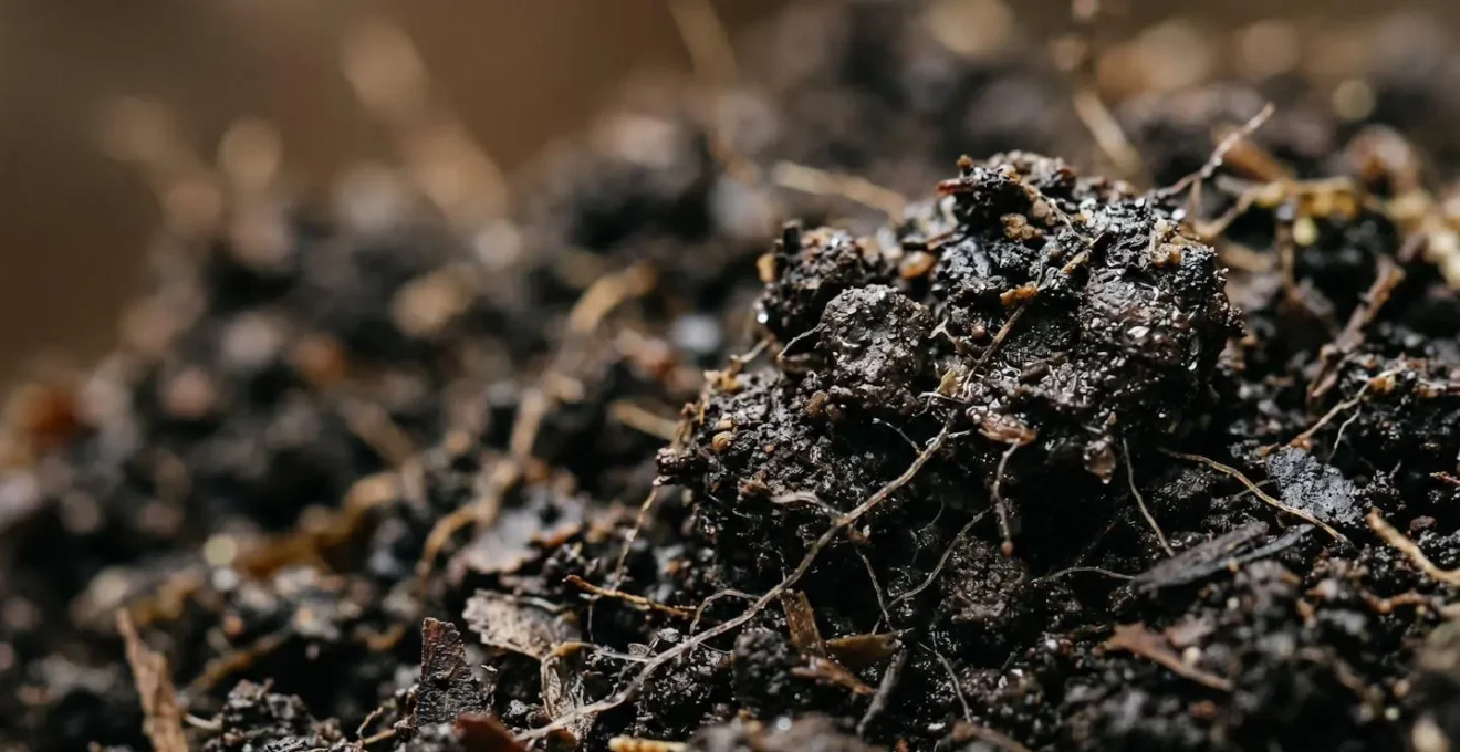 Microscopic view of active soil microbes feeding on carbon sources in agricultural soil