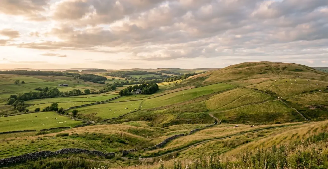 Wide pastoral landscape showing varied topography with hilltops, slopes, and valley areas for strategic soil sampling site selection
