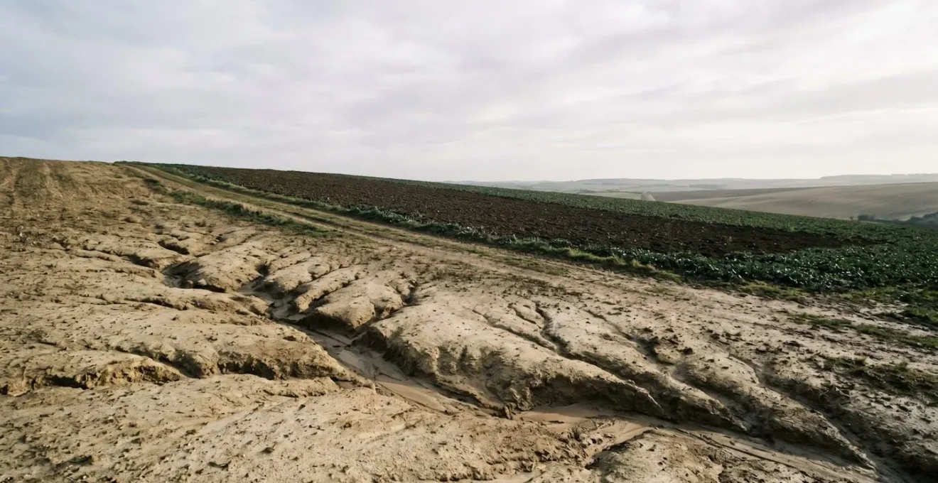Eroded agricultural soil showing economic value depletion and productivity loss.
