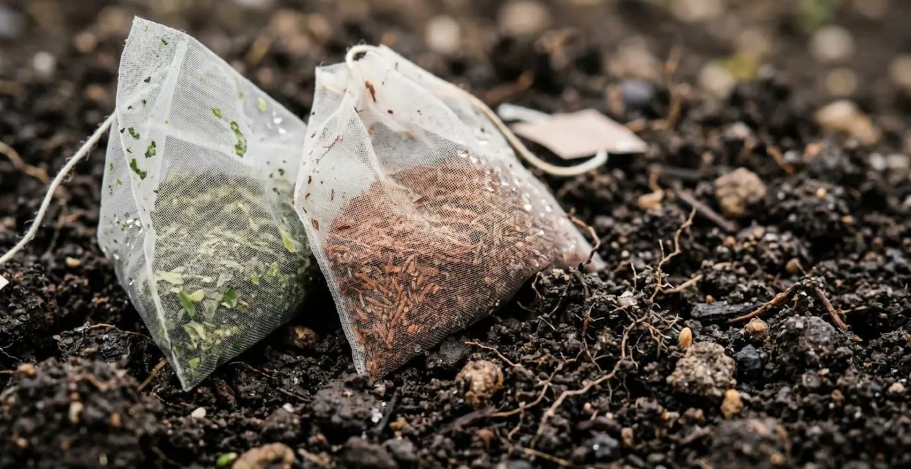 Tea bags buried in agricultural soil to measure microbial decomposition activity