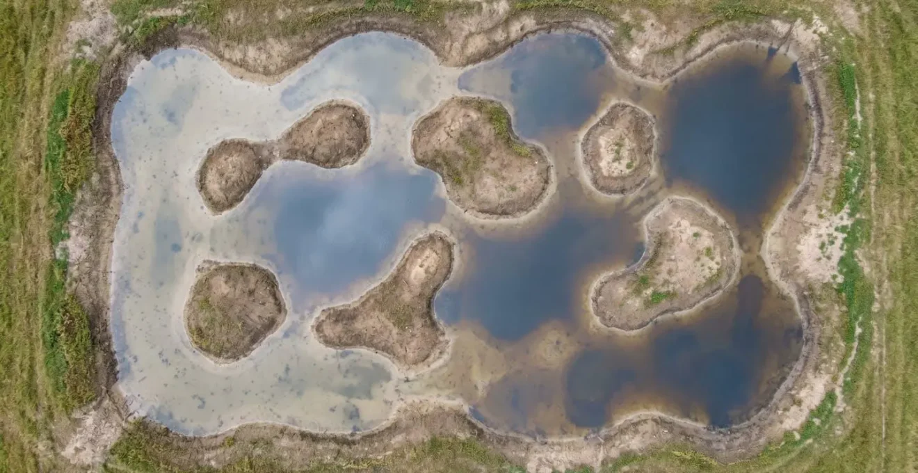 Aerial perspective showing varied wetland topography with multiple depths, humps, and interconnected water pockets